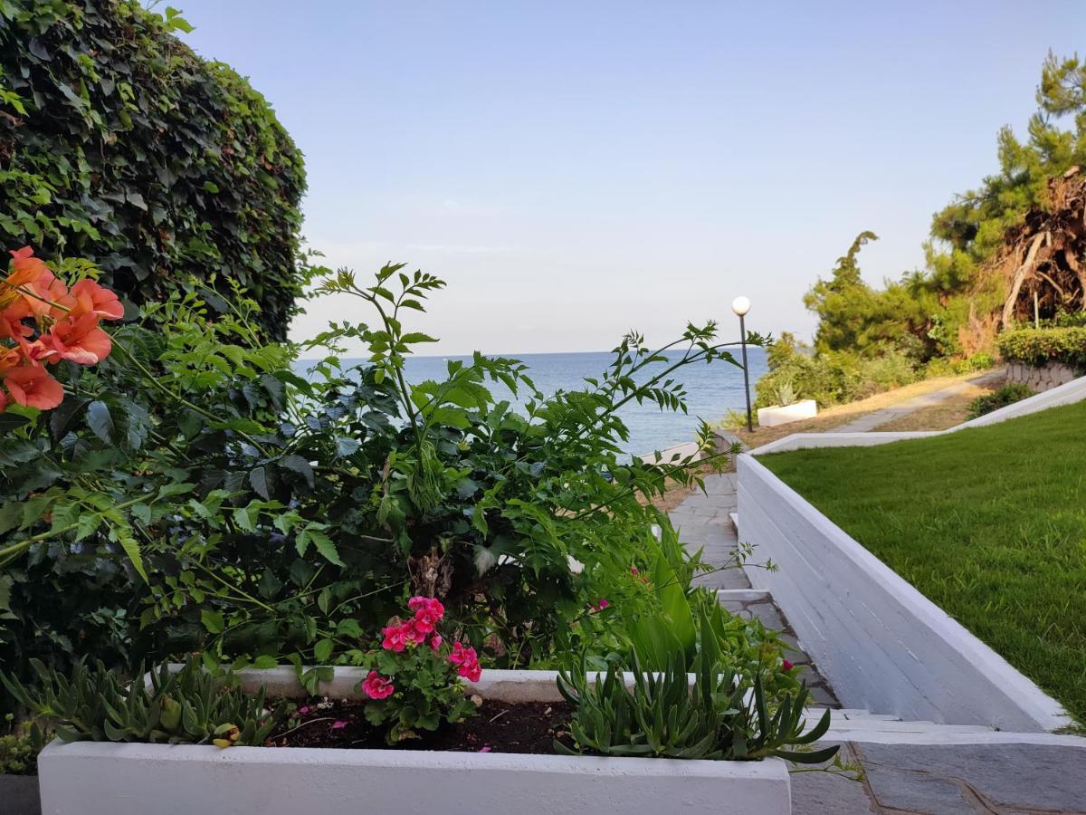 Beach House Emme PalaiónTsiflíkion Kültér fotó